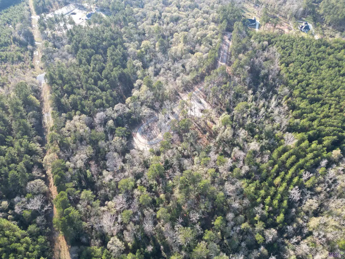 Lot 3 Livingston Farms Lane, Livingston, LA 70754 - #1