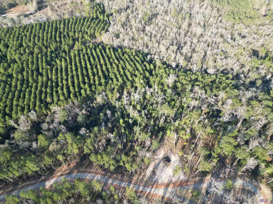 Lot 3 Livingston Farms Lane, Livingston, LA 70754 - #2