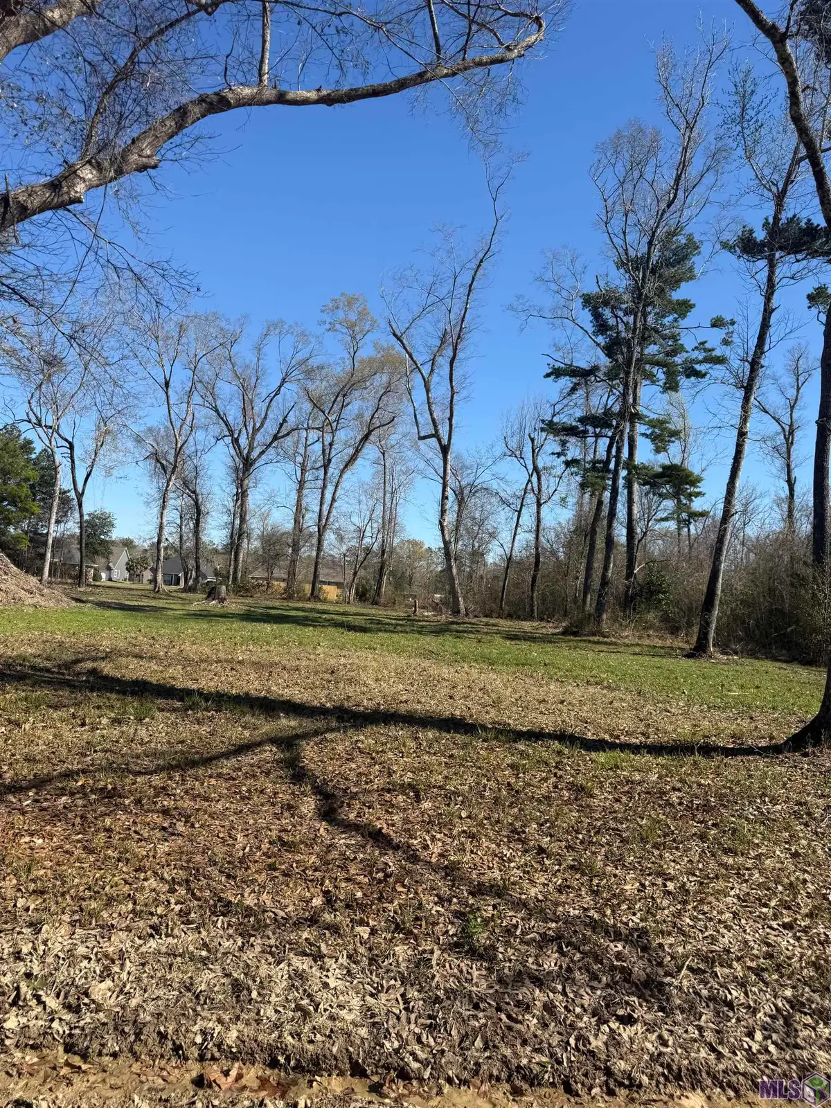 Lot 27 Sophia Noel Dr, Springfield, LA 70462 - #1