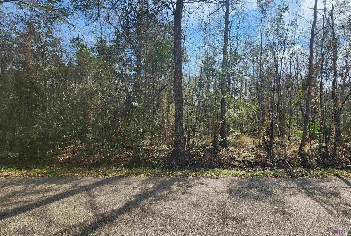 Lot 2 Hemisphere Ln, Denham Springs, LA 70726 - #1
