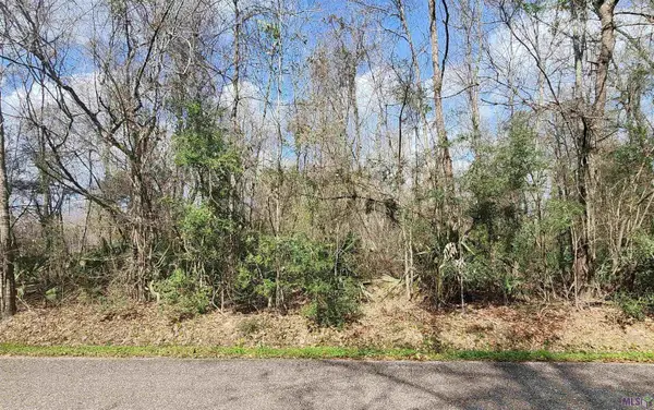 Lot 23-A Hemisphere Ln, Denham Springs, LA 70726