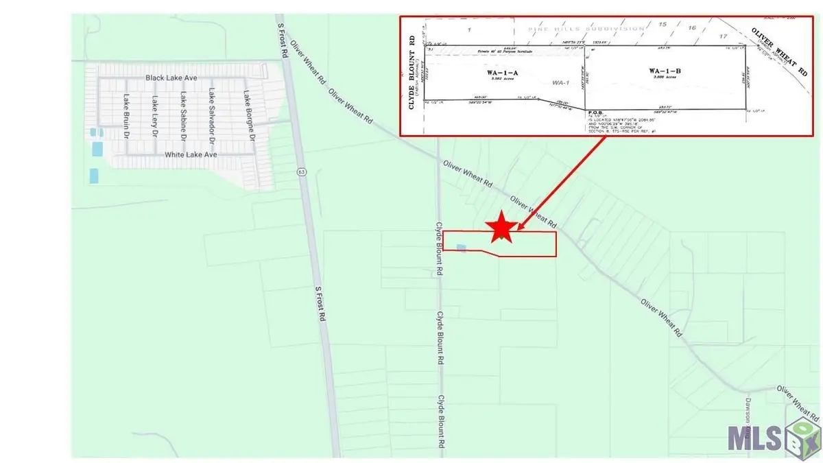 26430 Clyde Blount Rd, Livingston, LA 70754 - #1