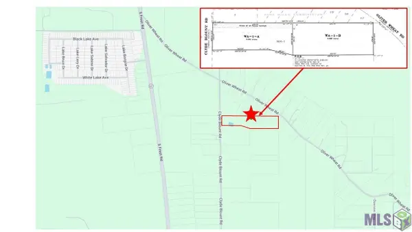 26430 Clyde Blount Rd, Livingston, LA 70754