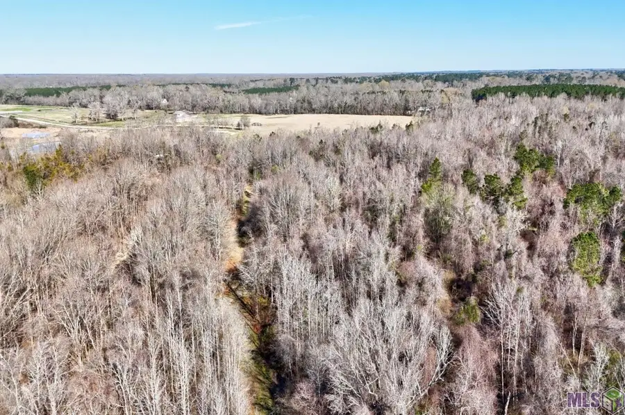 E-1-E-1-E La Hwy 67, Zachary, LA 70739 - #2