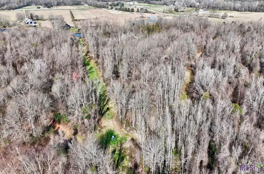 E-1-E-1-E La Hwy 67, Zachary, LA 70739 - #3