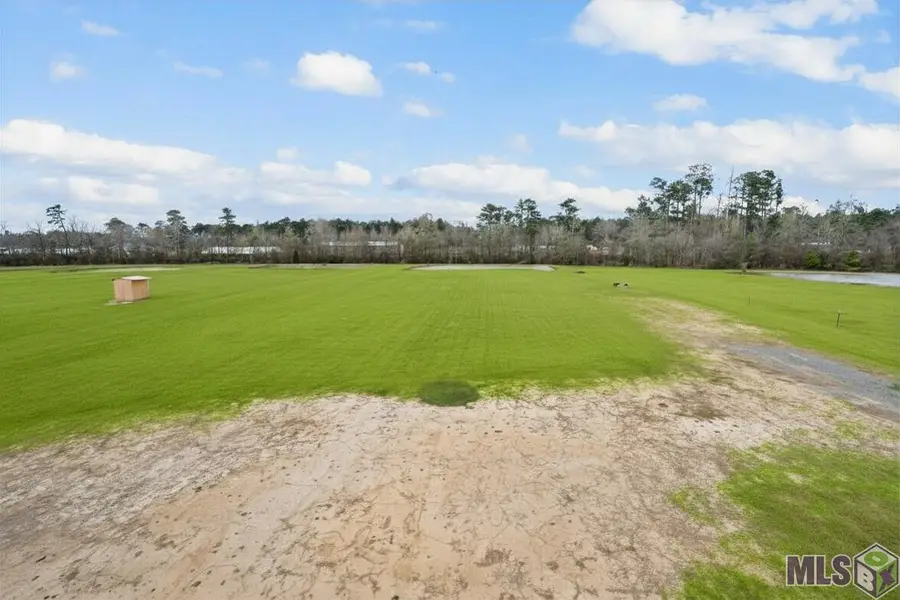 21293 Mayberry Lane, Livingston, LA 70754 - #3