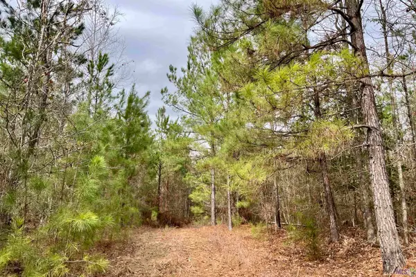 01 Ford Road, Marion, LA 71260