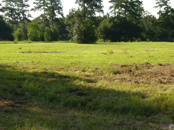 Lot 11 Lynda, Killian, LA 70462