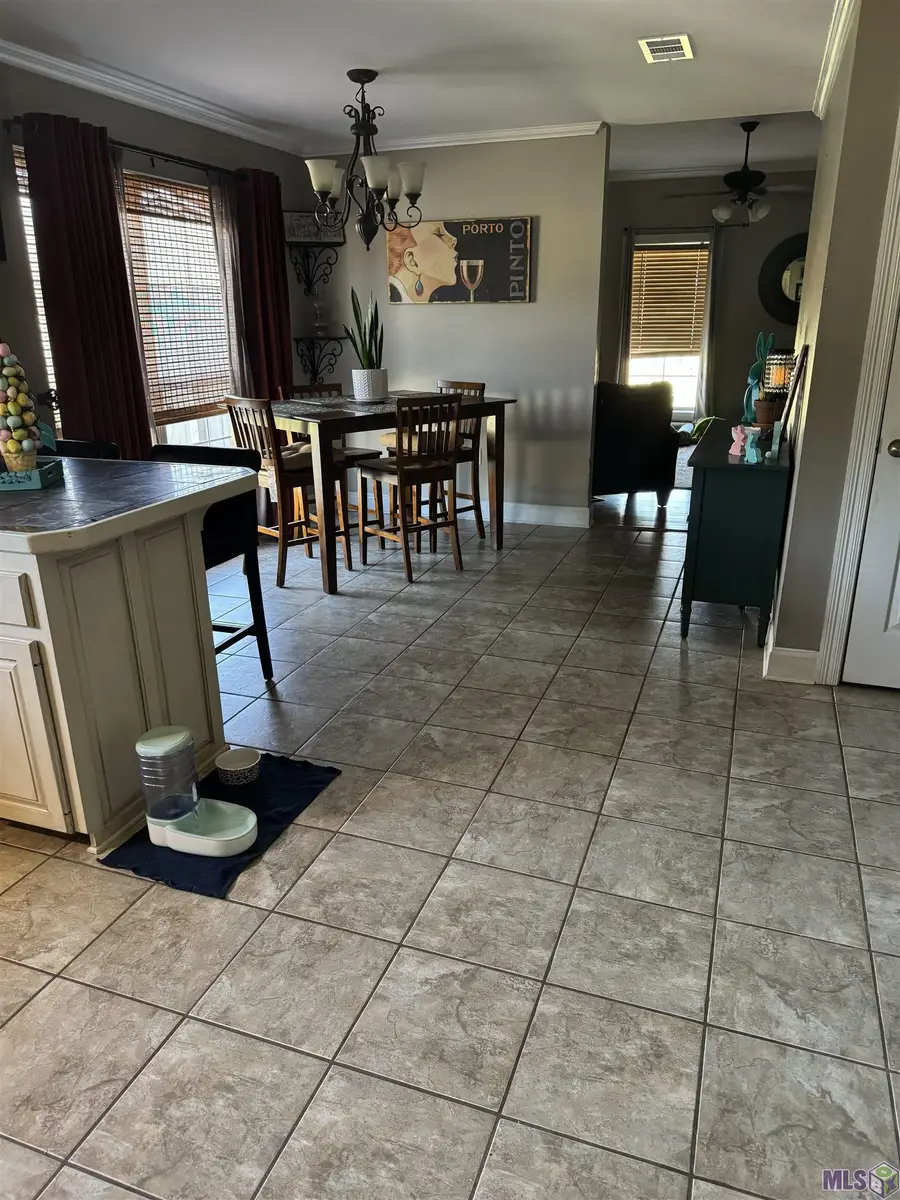 34117 Hawks Cove, Denham Springs, LA 70706 - #3