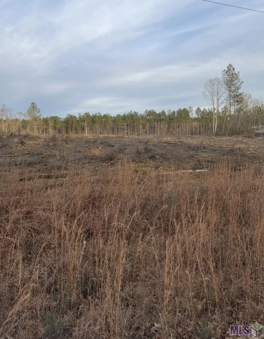 Lot B-6 Mack Ln, Clinton, LA 70722 - #2