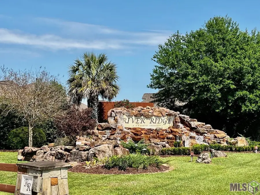 41152 New Orleans Dr, Sorrento, LA 70778 - #3