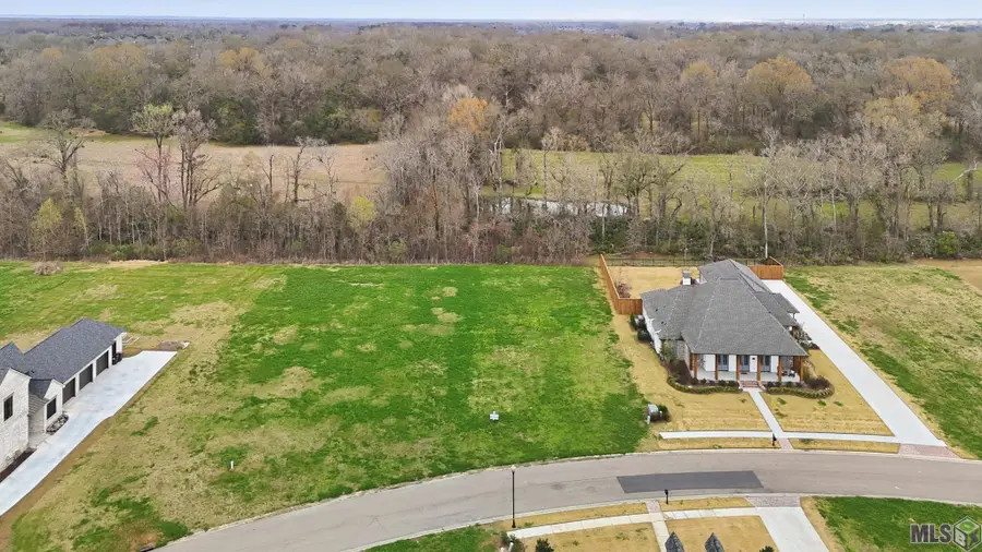 36162 Westin Ridge Dr, Geismar, LA 70734 - #2