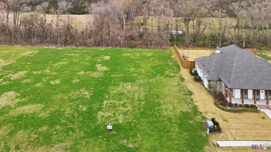 36162 Westin Ridge Dr, Geismar, LA 70734 - #3