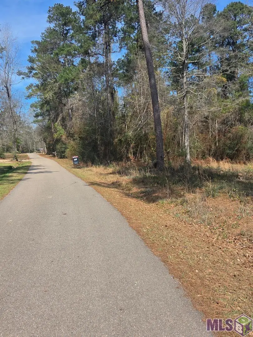 Lot 125 W Choctaw Dr, Franklinton, LA 70438 - #3