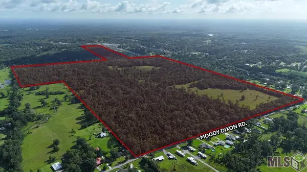 42420 Moody Dixon Rd, Prairieville, LA 70769