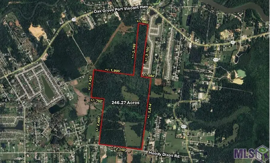 42420 Moody Dixon Rd, Prairieville, LA 70769 - #2