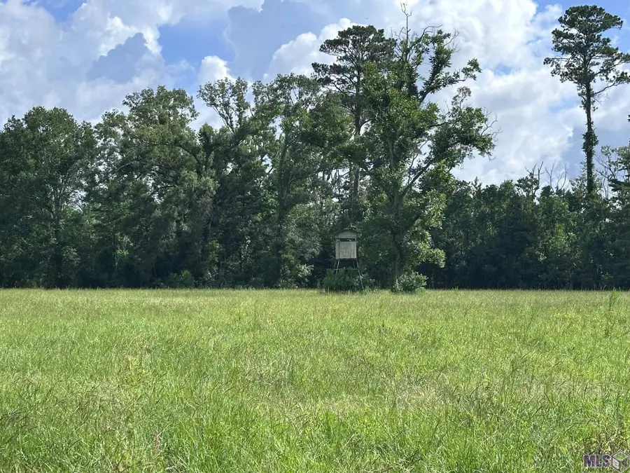 42420 Moody Dixon Rd, Prairieville, LA 70769 - #3