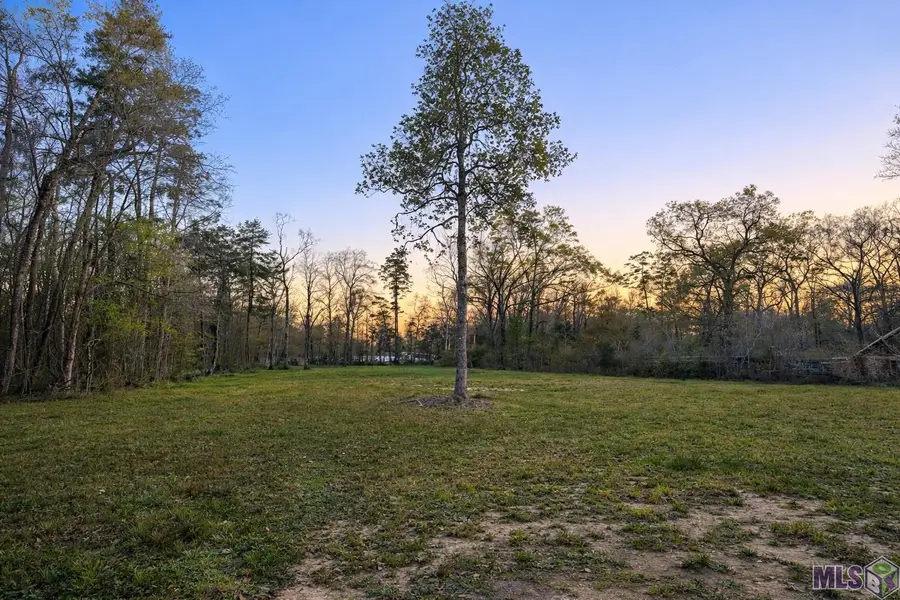 10246 Hemisphere Ln, Denham Springs, LA 70726 - #3