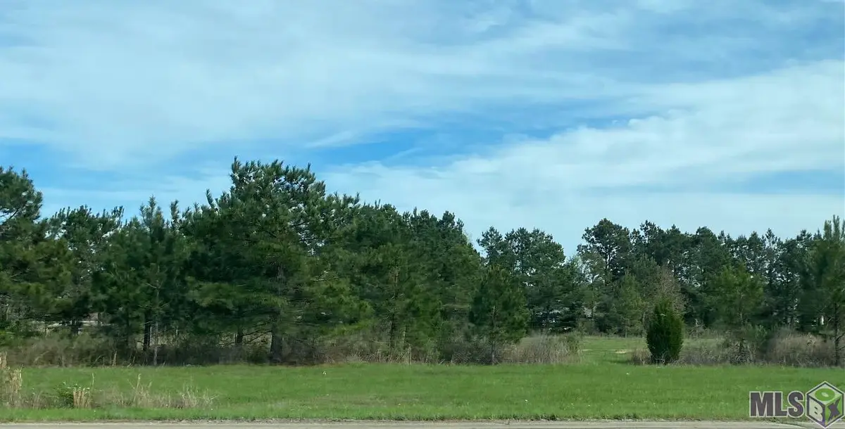 32816 La Hwy 16, Denham Springs, LA 70706 - #1