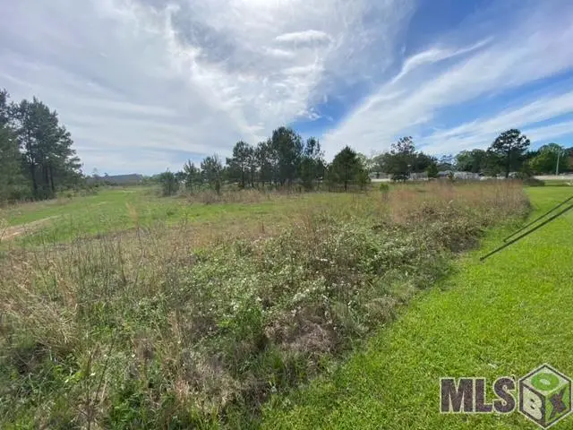 32816 La Hwy 16, Denham Springs, LA 70706 - #2