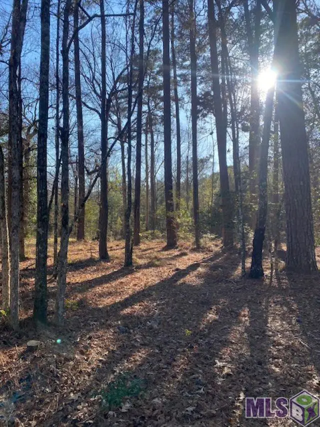 12479 Sullivan Ln, Clinton, LA 70722 - #2