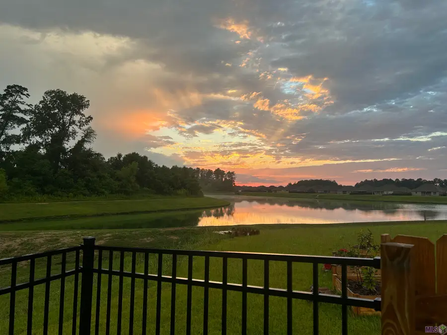 23199 Harlington Dr, Denham Springs, LA 70726 - #3