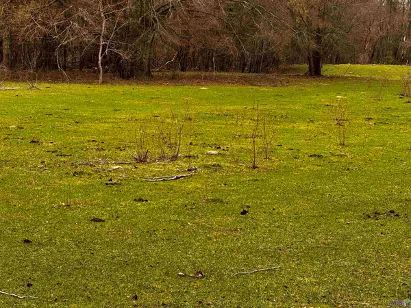 Carpenters Landing Rd, Hammond, LA 70403