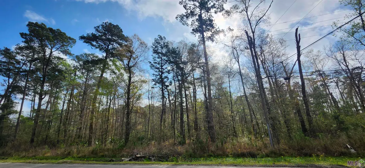 Tract A-4 Reinninger Rd, Denham Springs, LA 70706 - #1