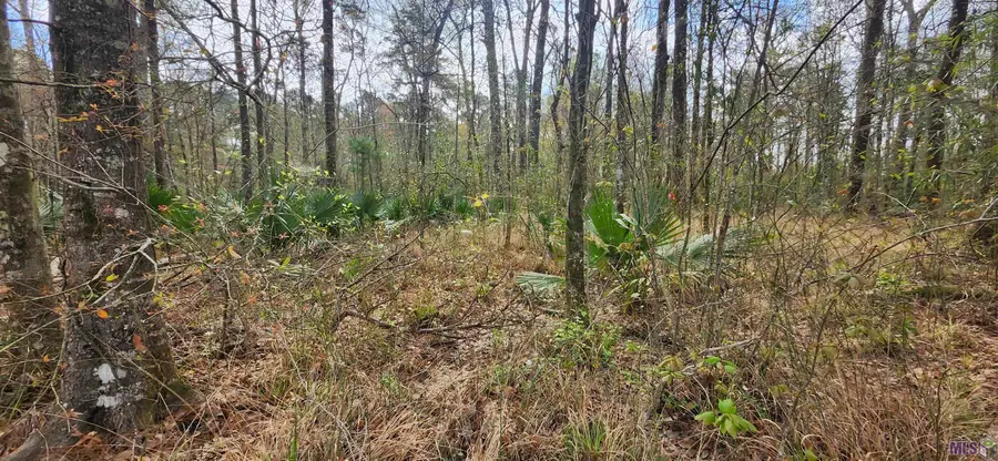 Tract A-4 Reinninger Rd, Denham Springs, LA 70706 - #2