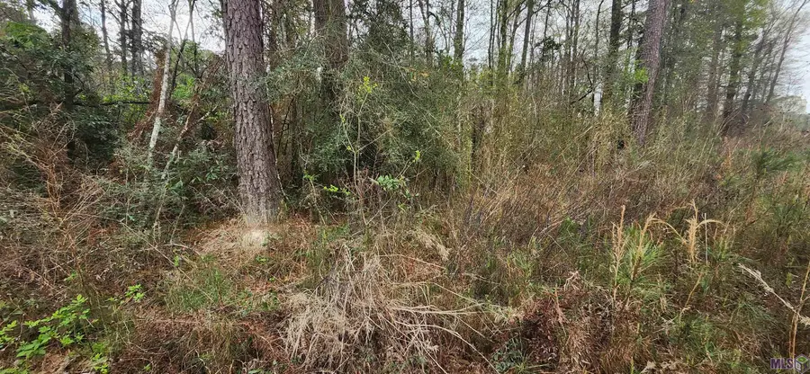 Tract A-6 Reinninger Rd, Denham Springs, LA 70706 - #2