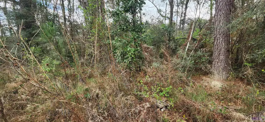 Tract A-6 Reinninger Rd, Denham Springs, LA 70706 - #3