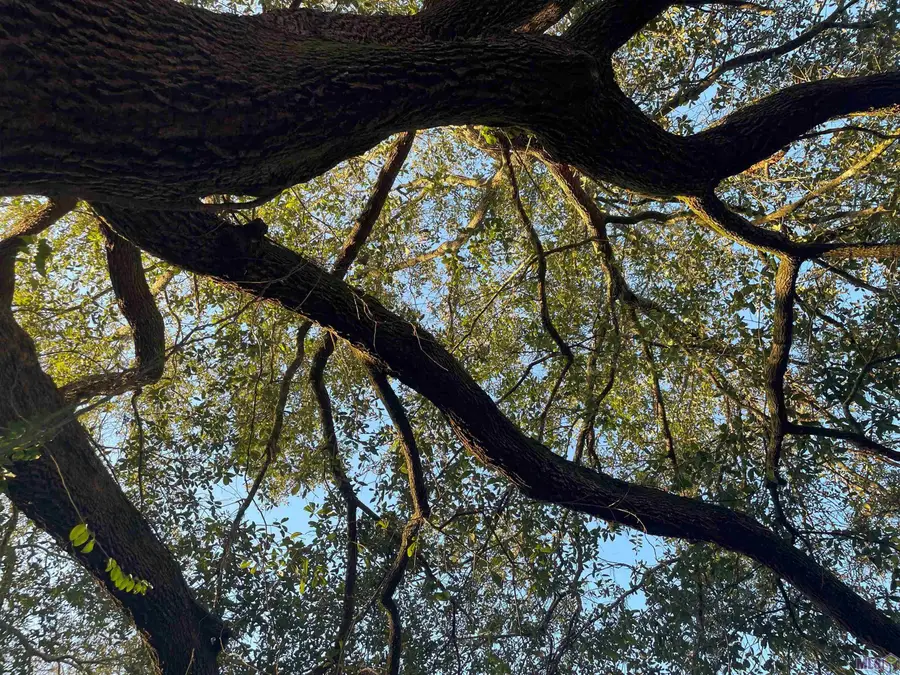 22170 Hoo Shoo Too Rd, Baton Rouge, LA 70817 - #3