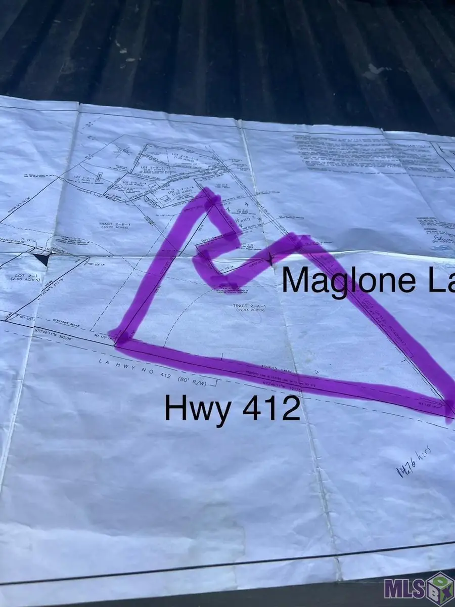 TBD Maglone Ln, Slaughter, LA 70777 - #3