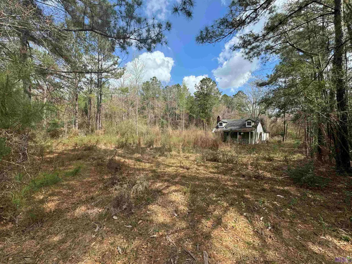 38112 La Hwy 16, Amite, LA 70422 - #1