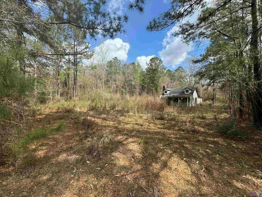 38112 La Hwy 16, Amite, LA 70422 - #2