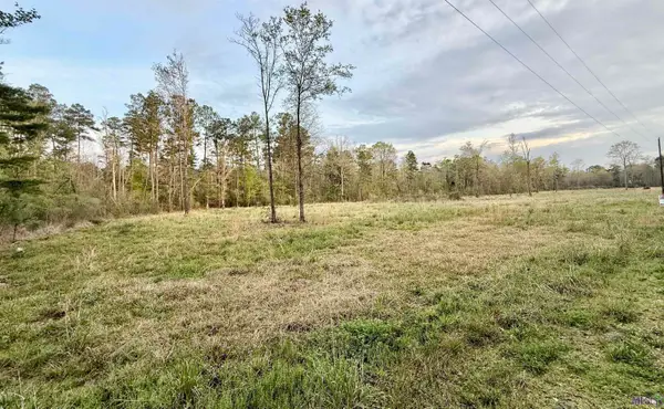 18826 Creole Ln, Livingston, LA 70754