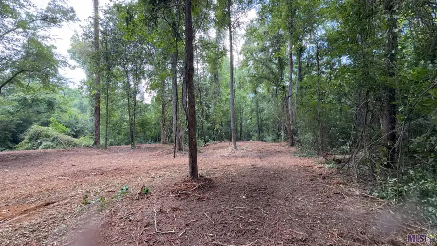 Tract X-1 Scott Barr Rd, Slaughter, LA 70777 - #2