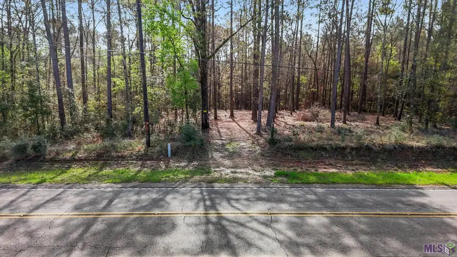 66042 La Hwy 1058, Roseland, LA 70456 - #2