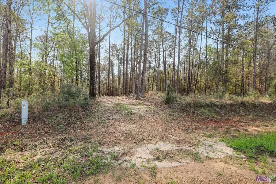 66042 La Hwy 1058, Roseland, LA 70456 - #3