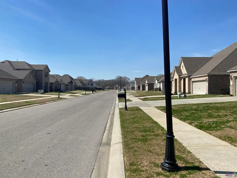 2119 Dovefield Ave #2119, Zachary, LA 70791 - #2