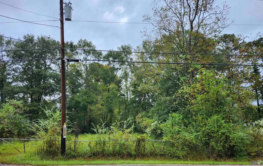 413 Edgewood Dr, Denham Springs, LA 70726 - #3