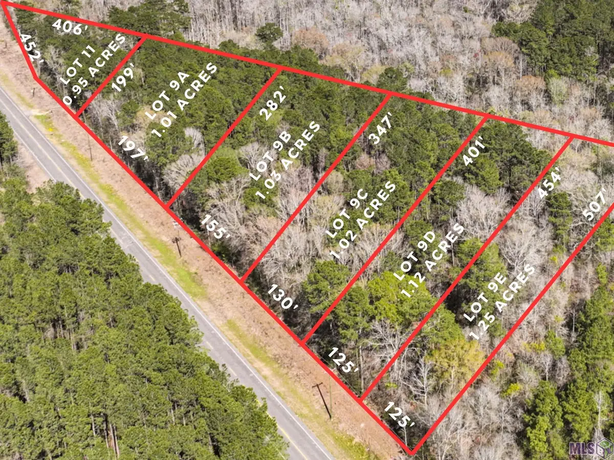 Lot 9E La Hwy 42, Livingston, LA 70754 - #1