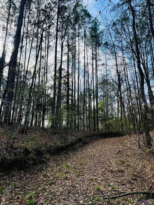 15397 Rogers Rd, St. Francisville, LA 70775