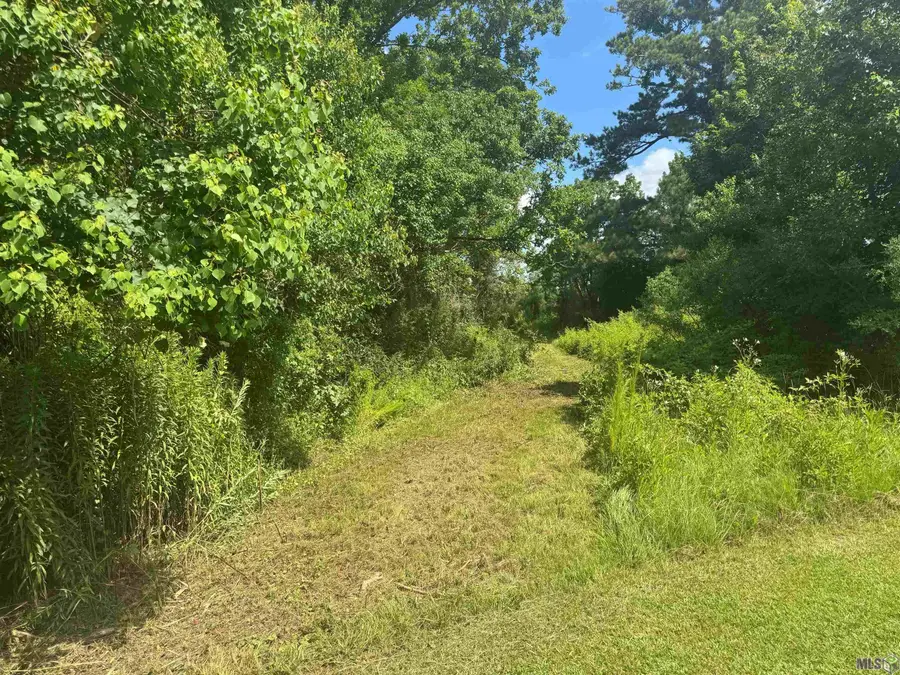 TBD Aydell Ln, French Settlement, LA 70733 - #3