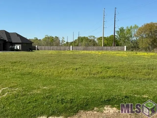 1-A Oakland Dr, Prairieville, LA 70769 - #3