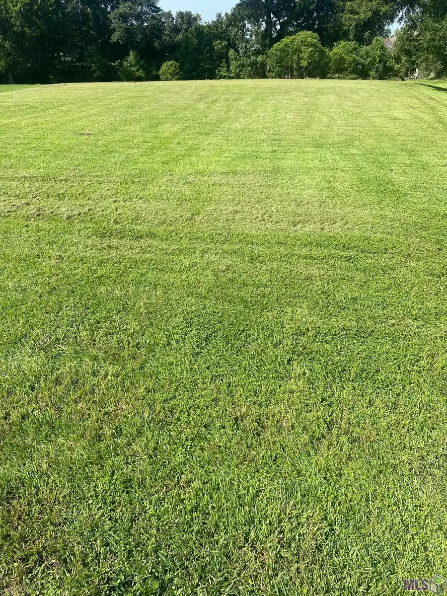 36451 S Francine Cir, Geismar, LA 70734 - #2