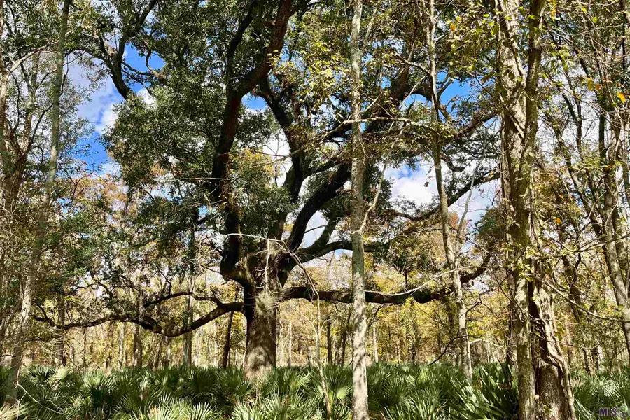 15 Manchac Rd, Saint Gabriel, LA 70776 - #2