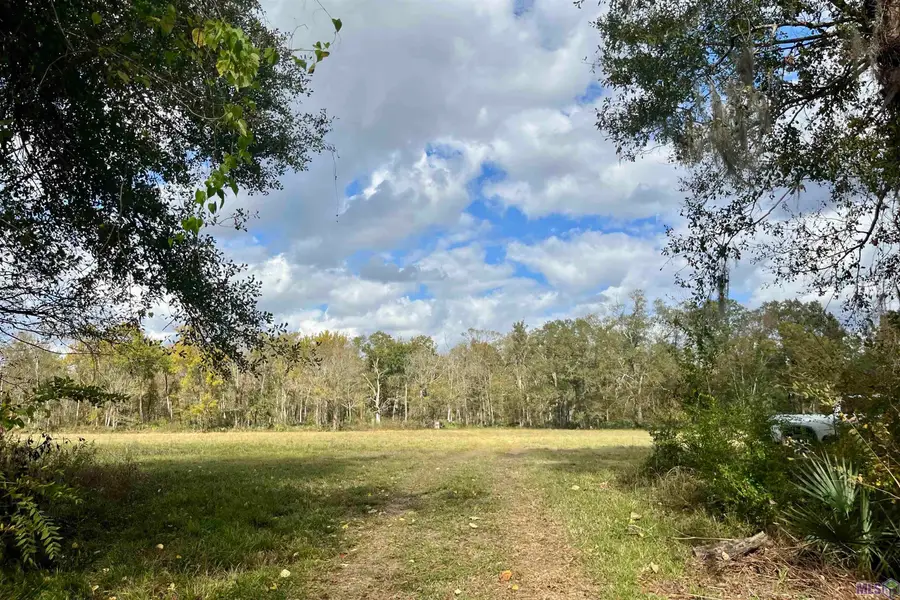 15 Manchac Rd, Saint Gabriel, LA 70776 - #3