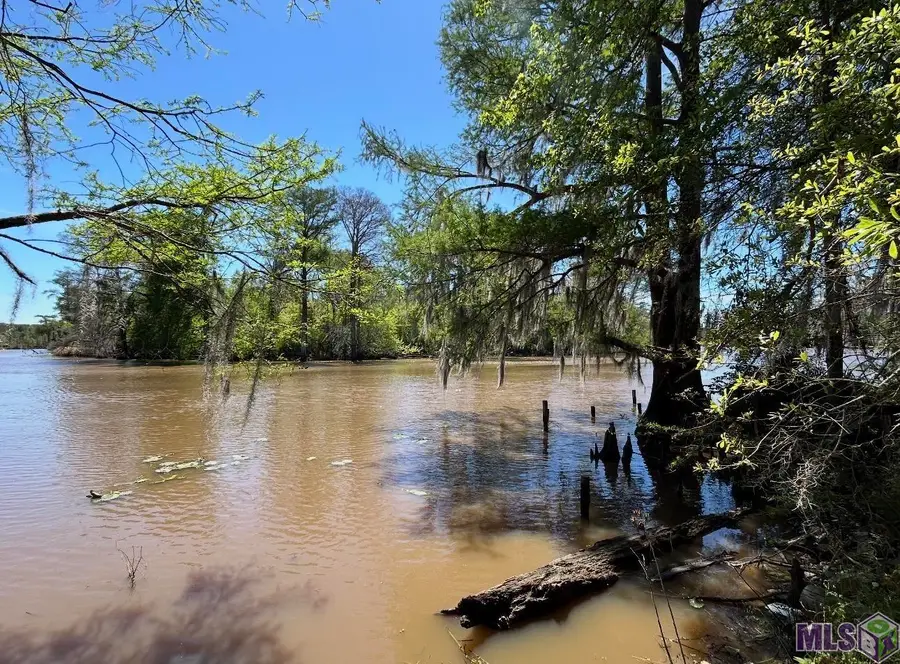 Lot 24 La Trace Rd, Livingston, LA 70754 - #2