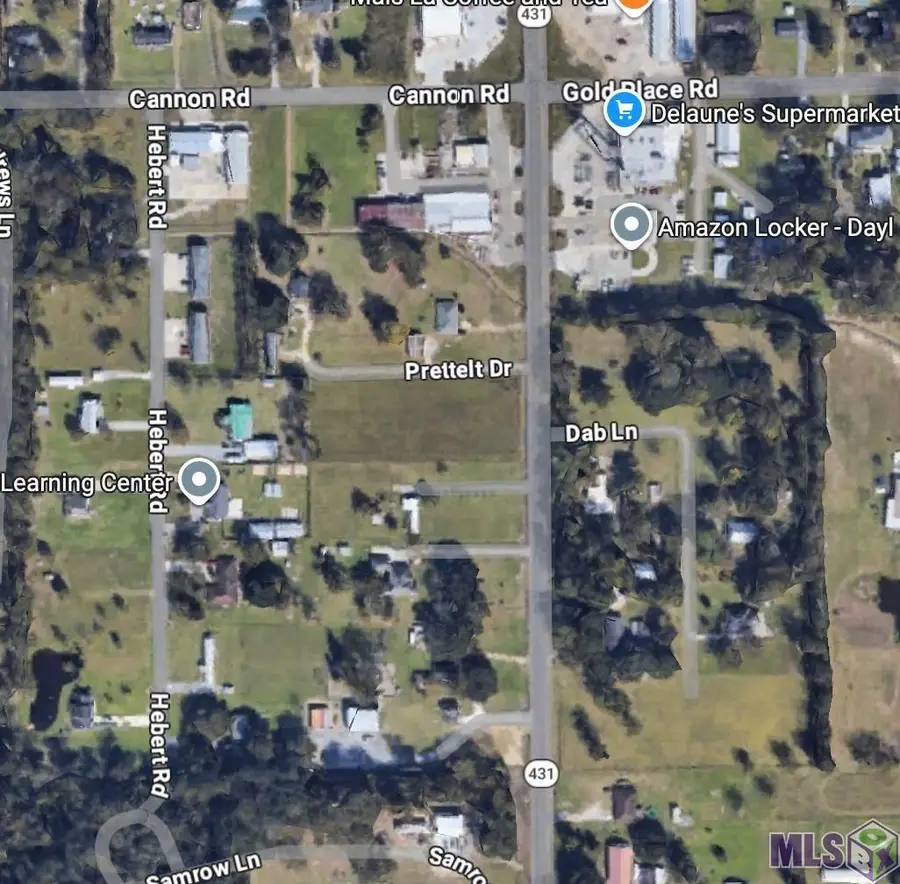 TBA La Hwy 431, Saint Amant, LA 70774 - #3